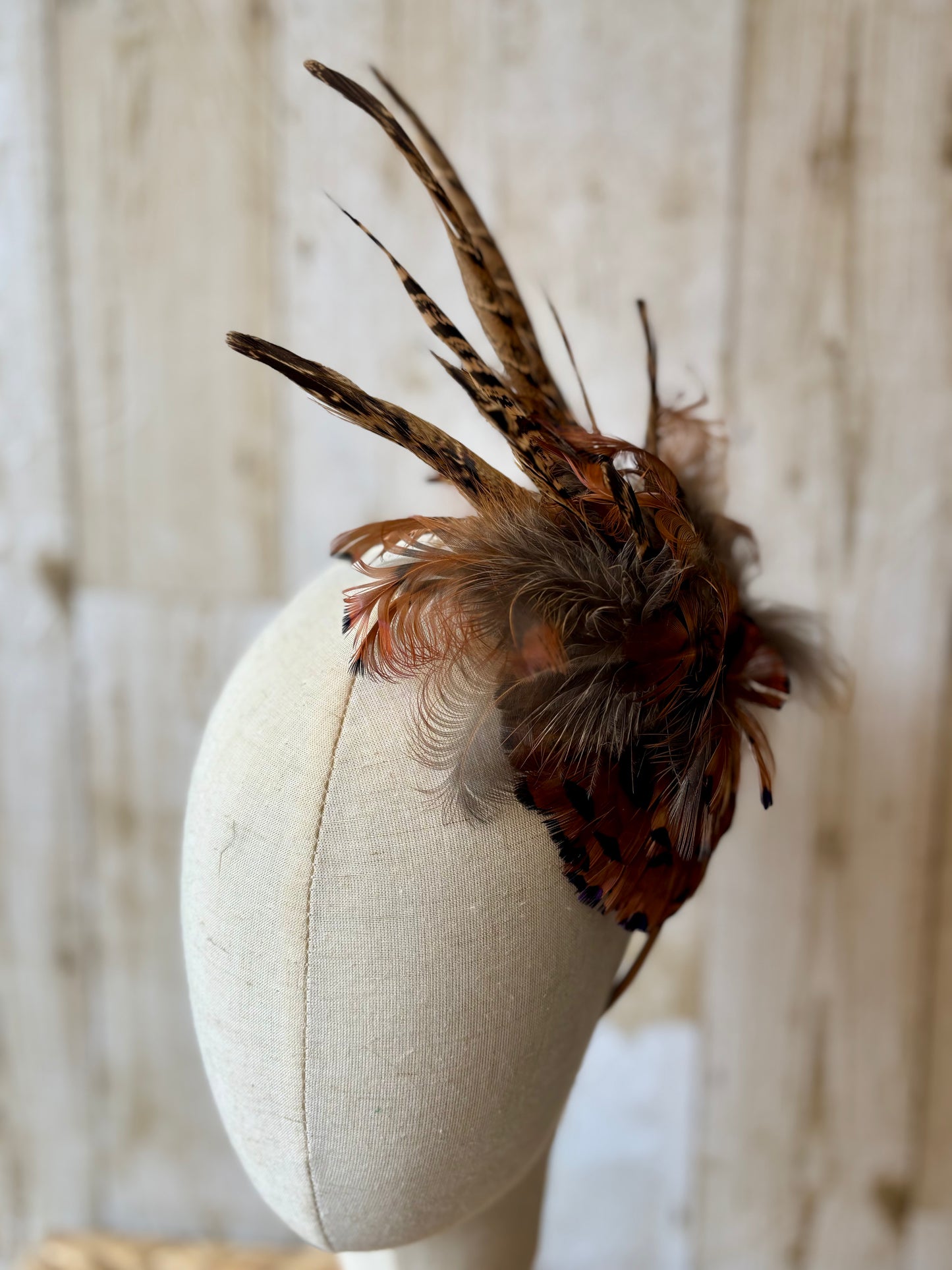 Fascinator in Natural Pheasant