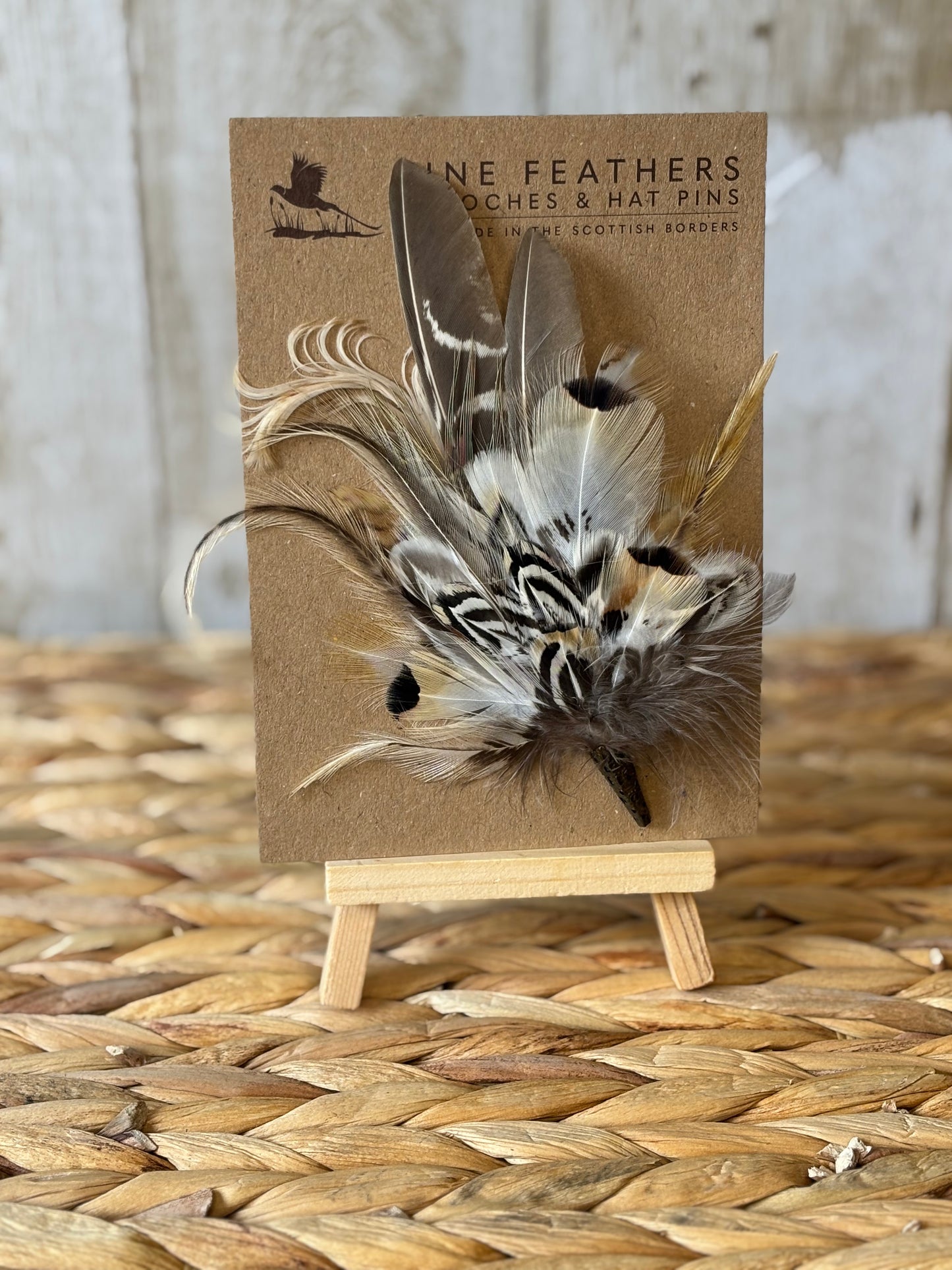 Brooch/Hat Pin in Natural Pheasant