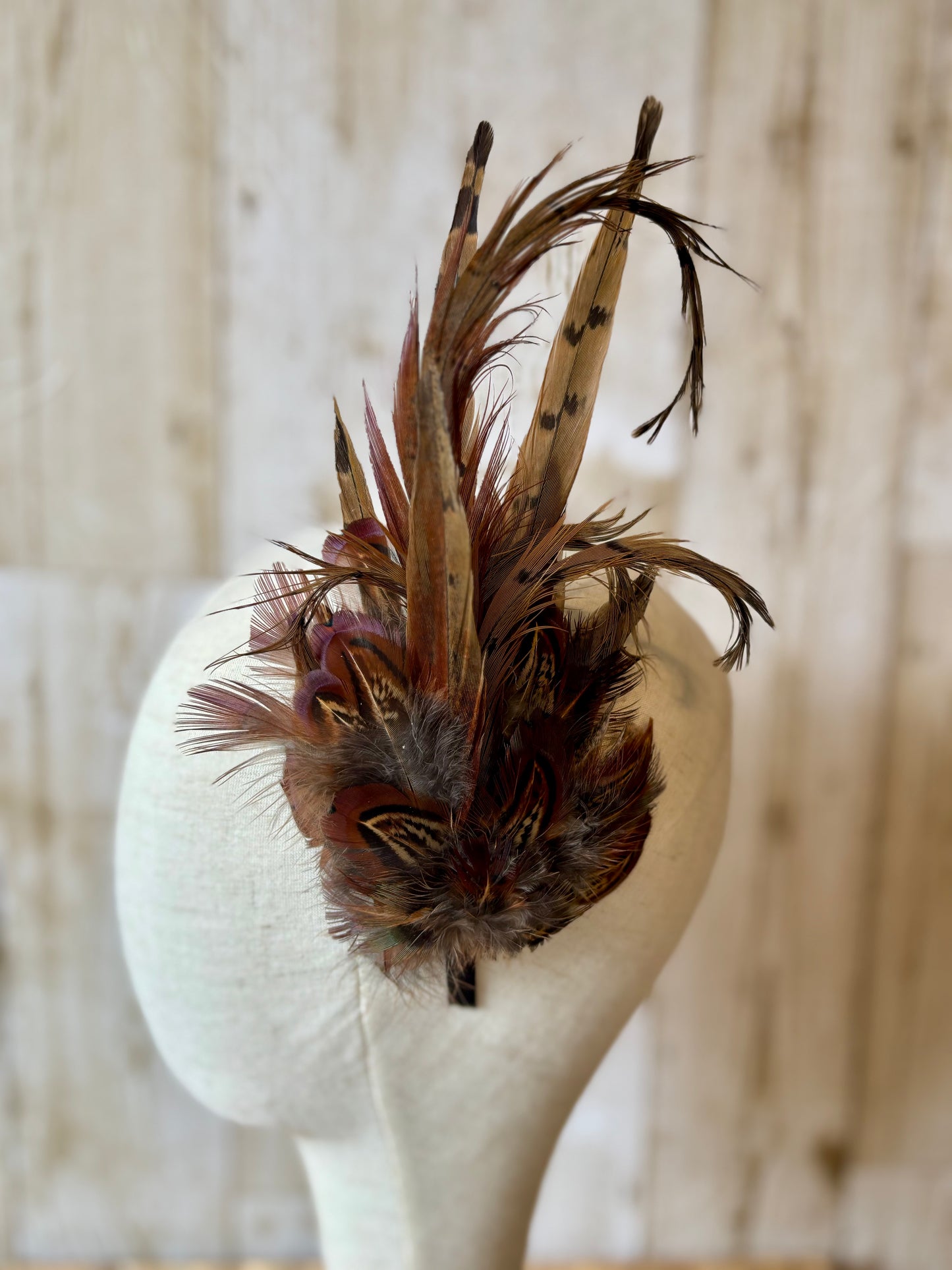 Pheasant Feather Fascinator