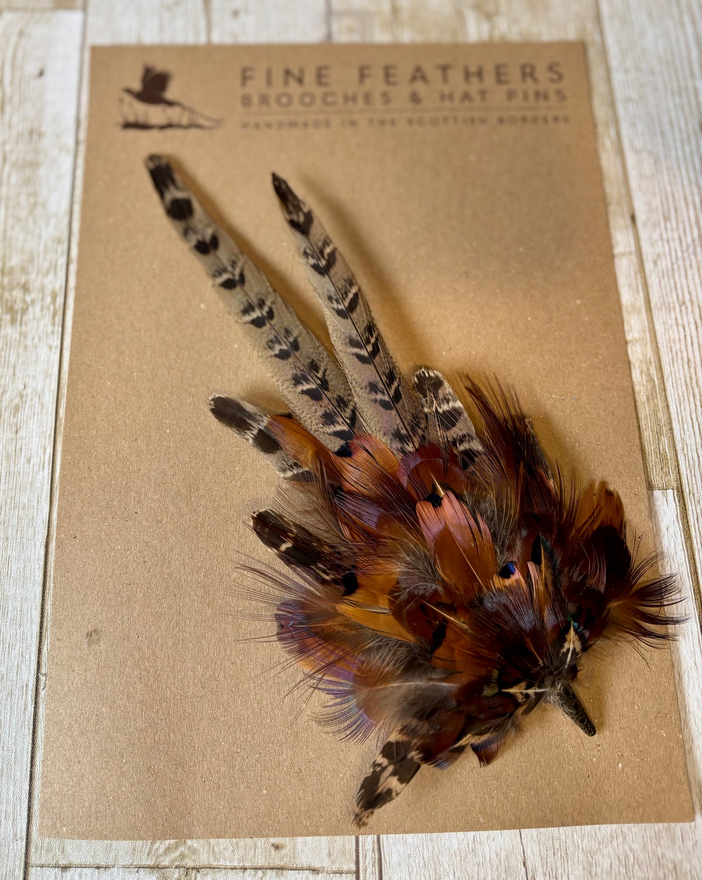 Pheasant feather hat pin.
