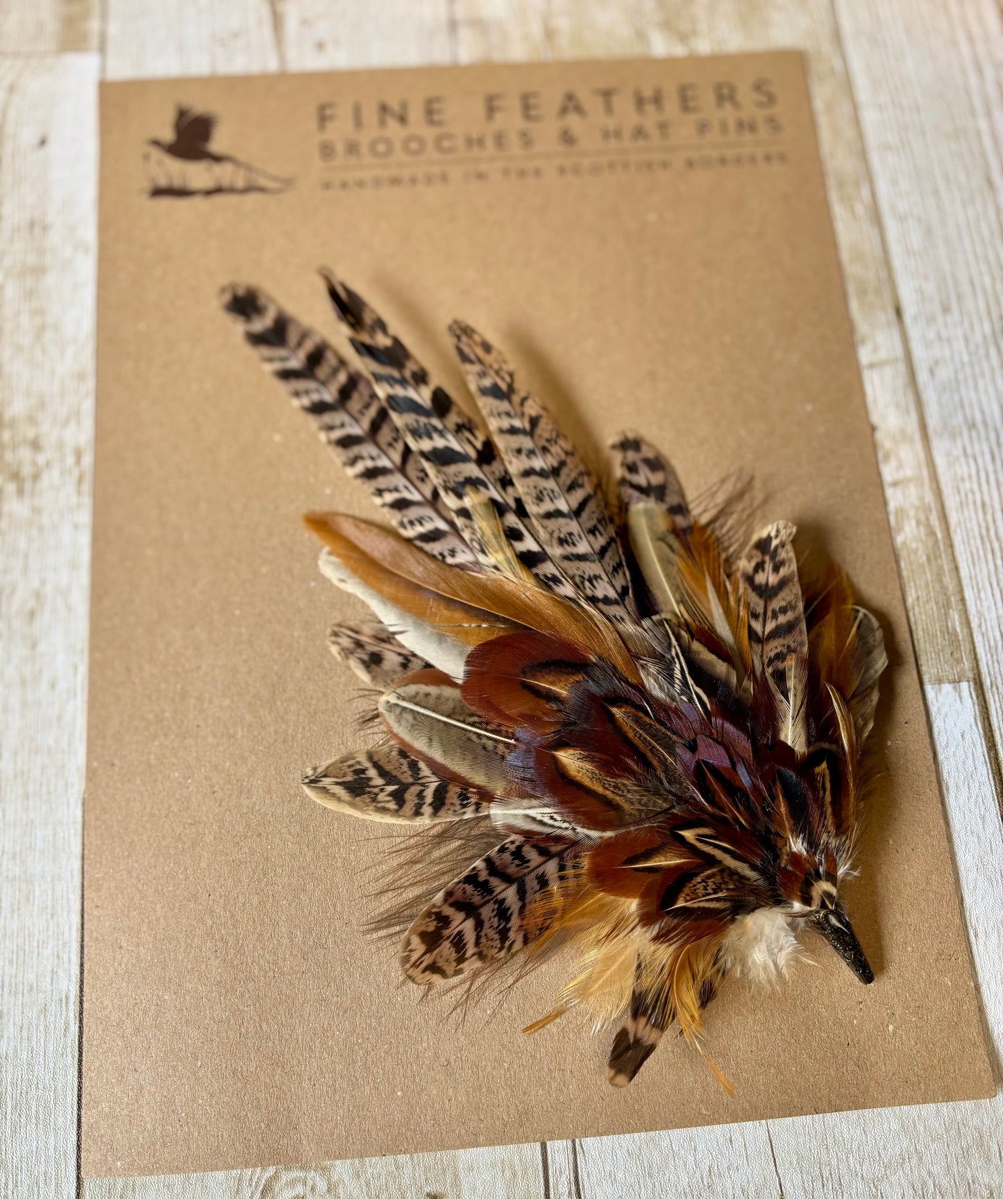 Pheasant feather hat pin.