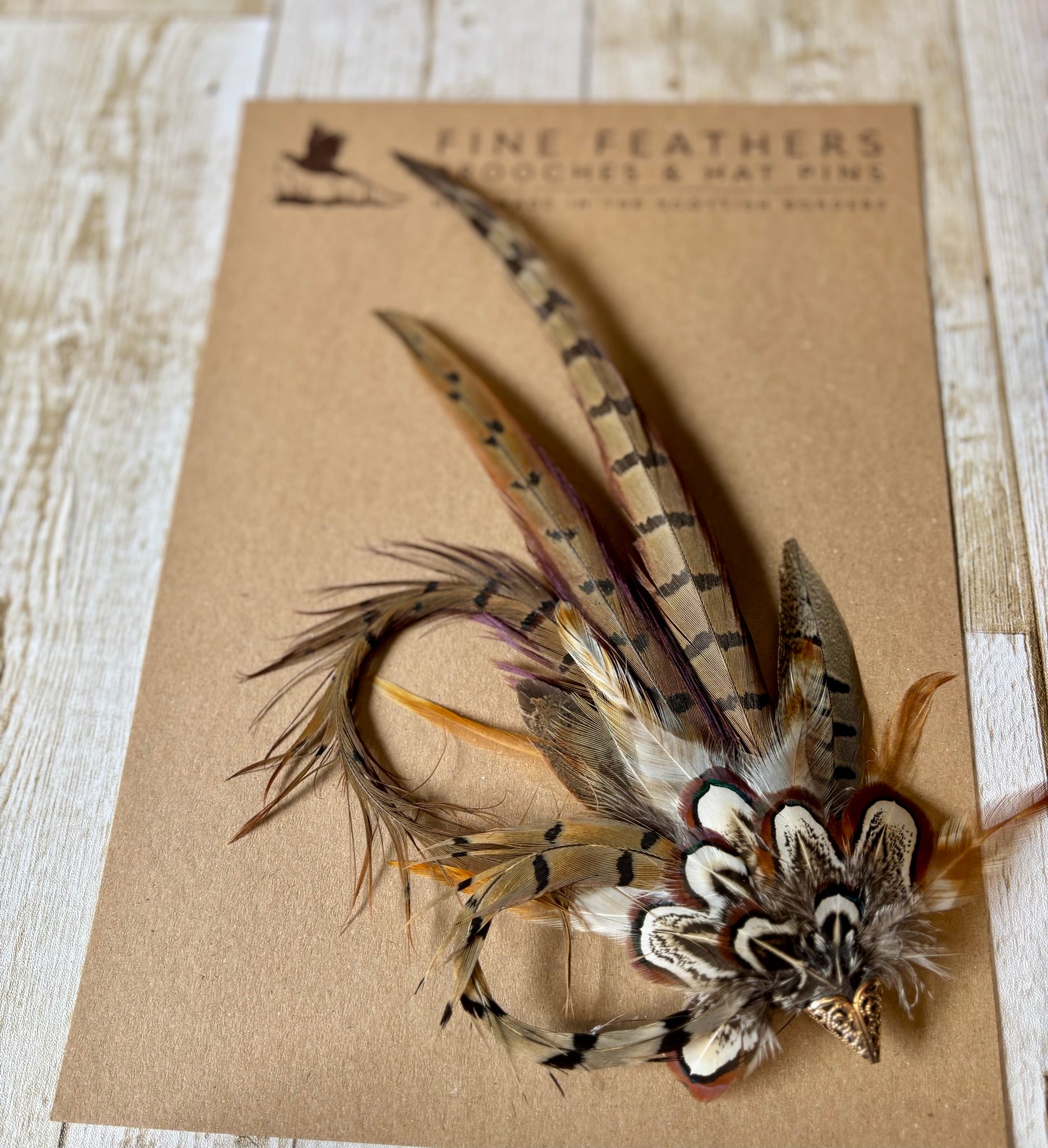 Pheasant feather hat pin.