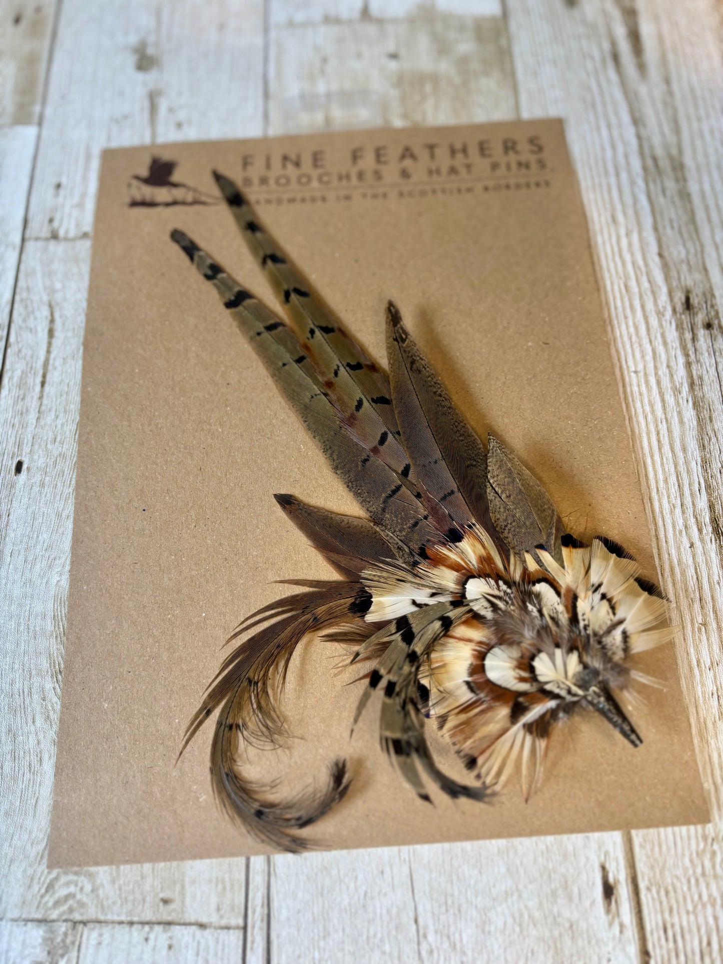 Pheasant feather hat pin.