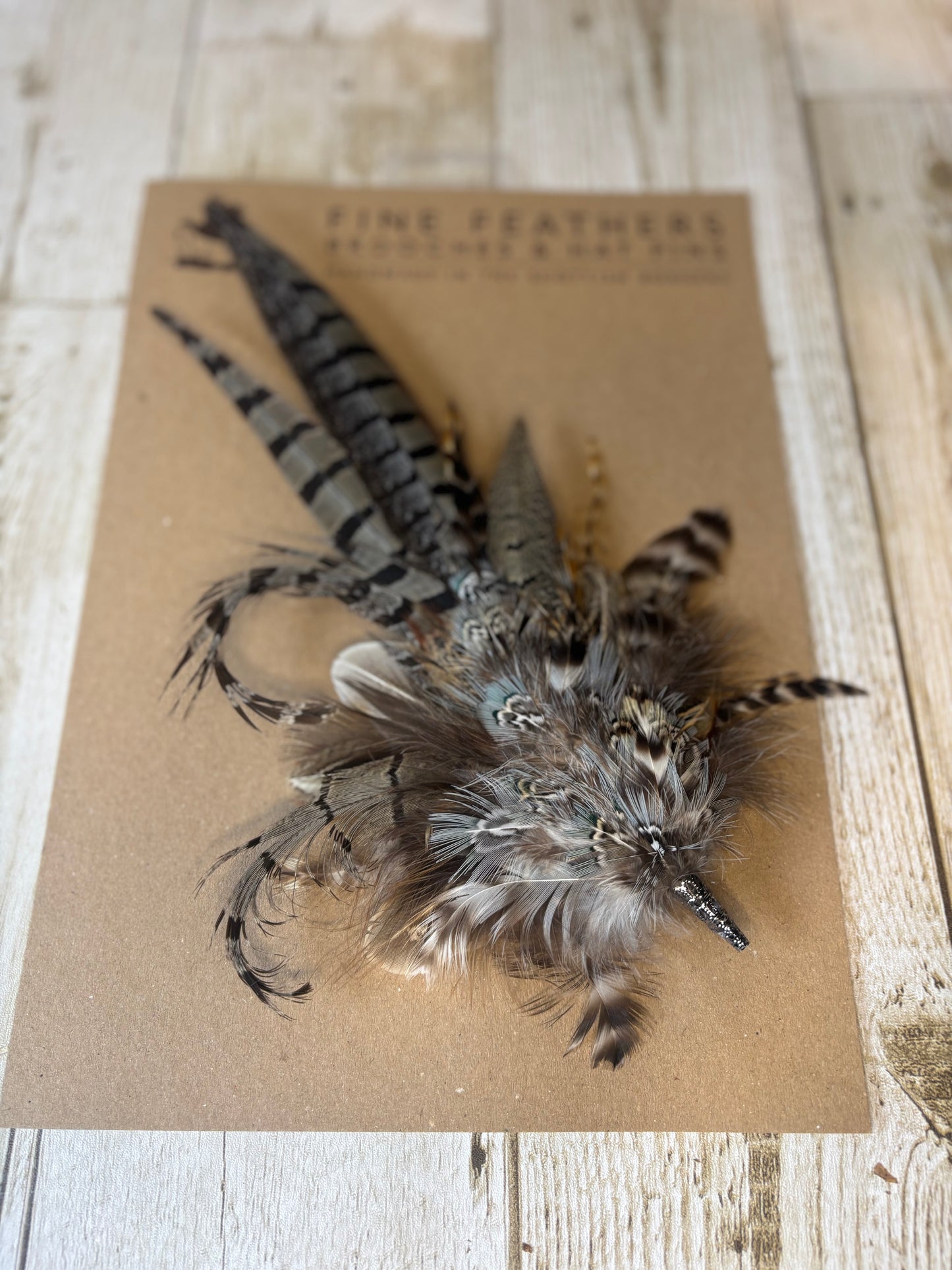 Pheasant feather hat pin.