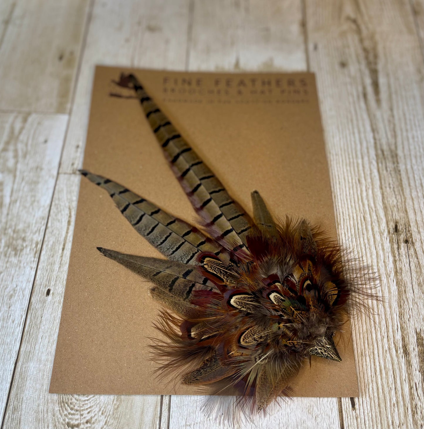 Pheasant feather hat pin.